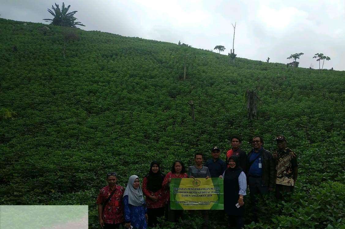 Jamin-Penyediaan-Benih-Kedelai-Bersertifikat-Kementan-Canangkan-Kegiatan-P3BK